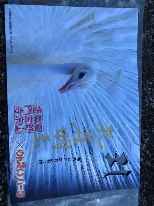 普門寺(切り絵御朱印発祥の寺)(愛知県)