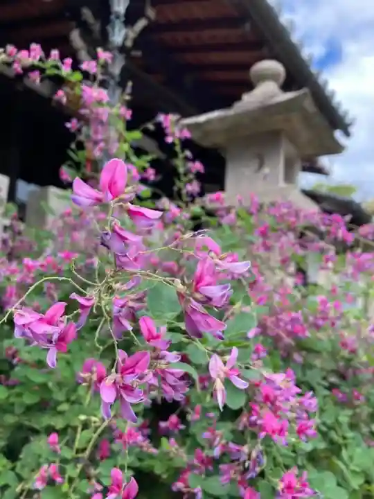 東光院(大阪府)