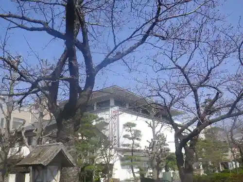 鶴岡八幡宮の自然