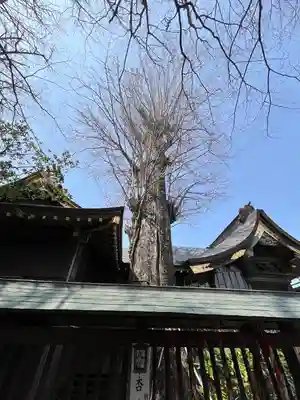 麻賀多神社(千葉県)