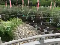 櫻岡大神宮の庭園