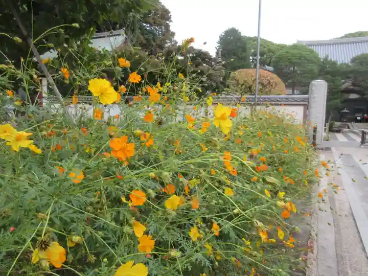瀧泉寺(目黒不動尊)(東京都)