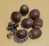 木野山神社(愛媛県)