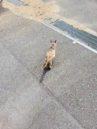 成田山新勝寺(千葉県)
