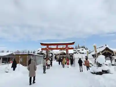 美瑛神社の初詣