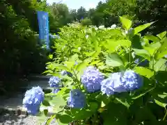 鷲子山上神社の庭園