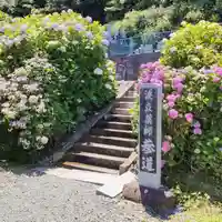 波立寺(波立薬師)の自然