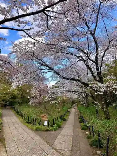 本土寺(千葉県)