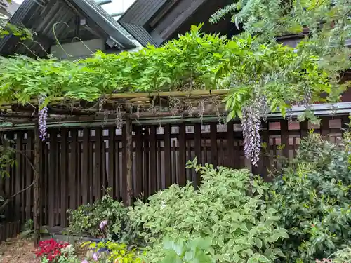 蔵前神社(東京都)