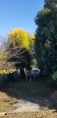 弁財天(千葉県)