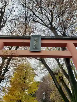 赤城神社の鳥居
