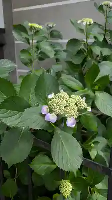 行願寺（革堂）(京都府)