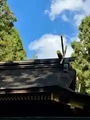 大和神社(奈良県)