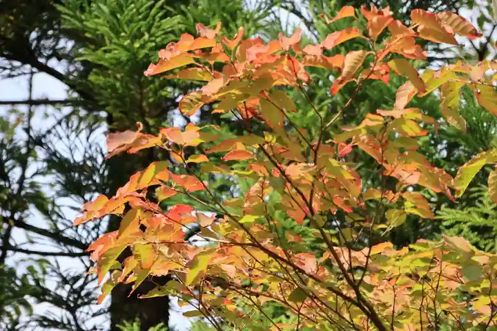 高司神社〜むすびの神の鎮まる社〜(福島県)