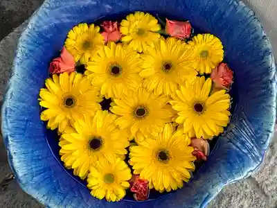 川越八幡宮(埼玉県)