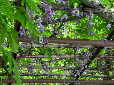 笠間稲荷神社(茨城県)