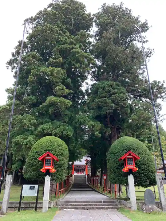 遠野郷八幡宮の自然