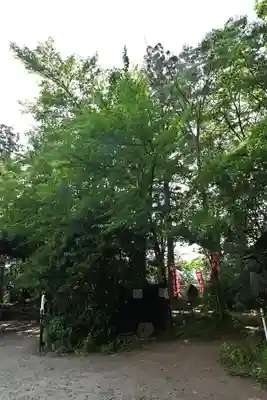 岡部春日神社～👹鬼門よけの🌺花咲く🌺やしろ～(福島県)