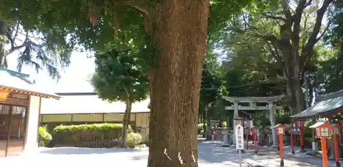 薬師寺八幡宮(栃木県)