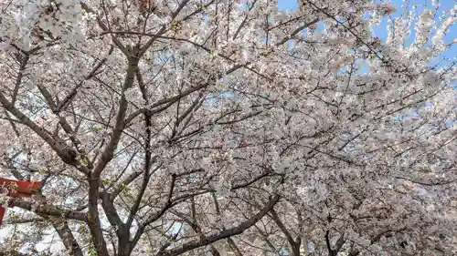 六孫王神社(京都府)