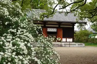 海龍王寺(奈良県)