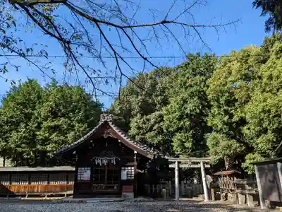 八幡社(柏井町)の本殿・本堂