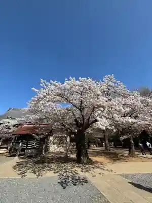 金蔵寺(千葉県)