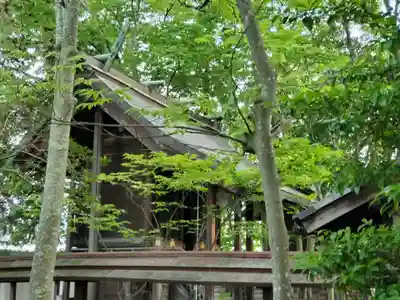 賢木神社の本殿・本堂
