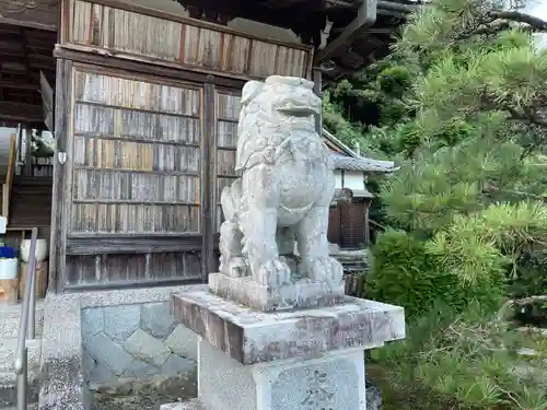 猪田神社の狛犬