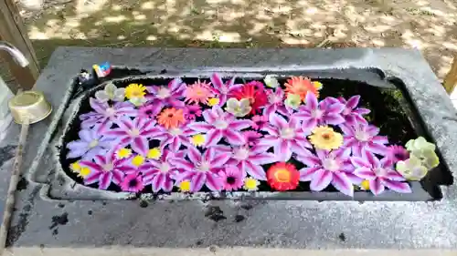 千代ケ岡八幡宮(栃木県)