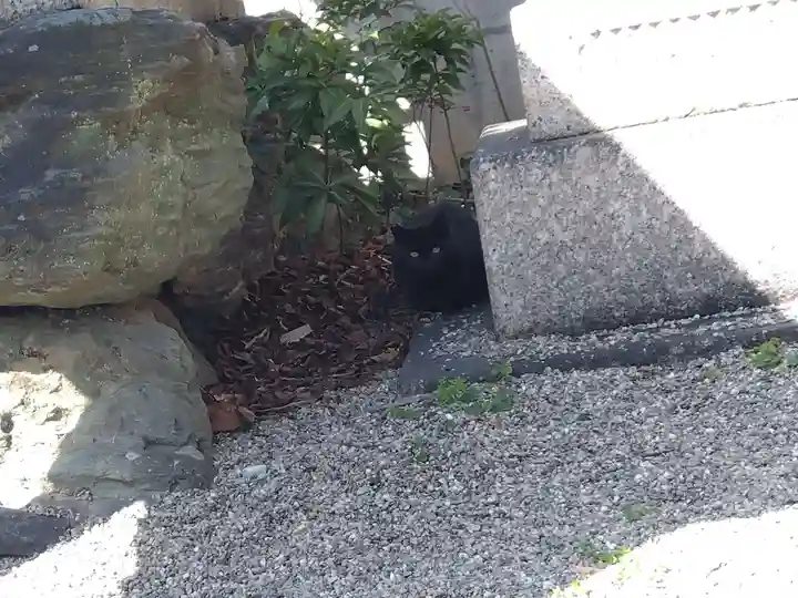 八雲神社(三重県)