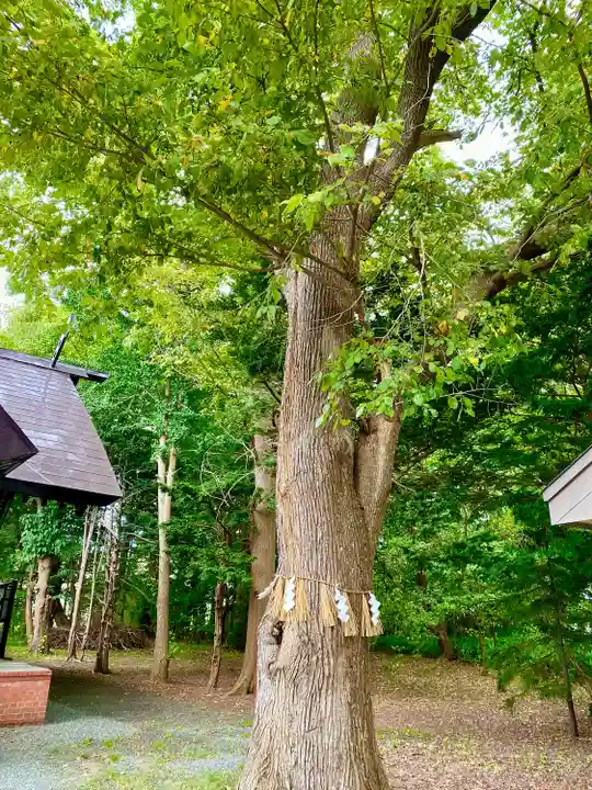錦山天満宮の自然