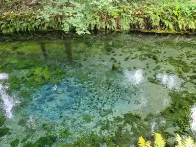白川吉見神社(熊本県)
