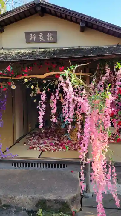 北野天満宮の{uncategorized: "未分類", other: "その他", undefined: "問題あり", building: "その他建物", grave: "お墓", sacred_gate: "鳥居", guardian: "狛犬", statue: "像", buddha: "仏像", history: "歴史", nature: "自然", garden: "庭園", animal: "動物", pagoda: "塔", temizu: "手水舎", mountain_gate: "山門・神門", sanctuary: "本殿・本堂", subordinate: "末社・摂社", art: "芸術", scenery: "景色", jizo: "地蔵", ema: "絵馬", goshuin: "御朱印", omikuji: "おみくじ", items: "授与品その他", amulet: "お守り", goshuincho: "御朱印帳", eats: "食事", festival: "お祭り", votive_dance: "神楽", shichigosan: "七五三参", wedding: "結婚式", experience: "体験その他", initially: "初詣", around: "周辺", anti_infection: "感染症対策"}