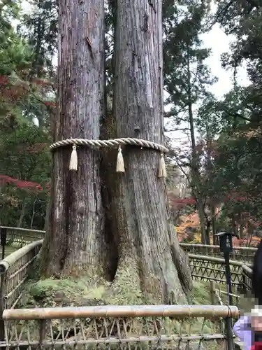 西明寺(滋賀県)