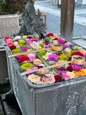 柳谷観音　楊谷寺(京都府)