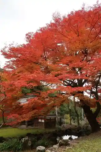 悉地院(滋賀県)