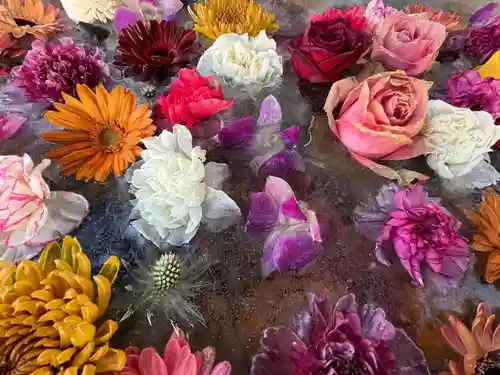 札幌諏訪神社の手水舎