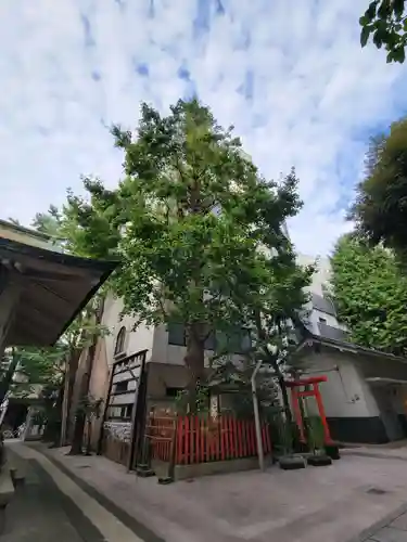 銀杏岡八幡神社の自然