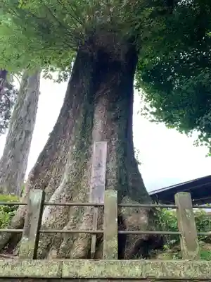 香取神社(千葉県)