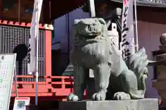 浅草神社の狛犬