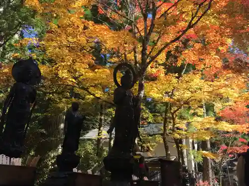 高野山金剛峯寺奥の院の自然