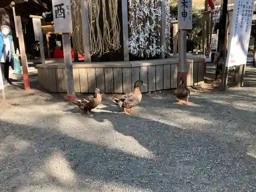 平塚八幡宮(神奈川県)