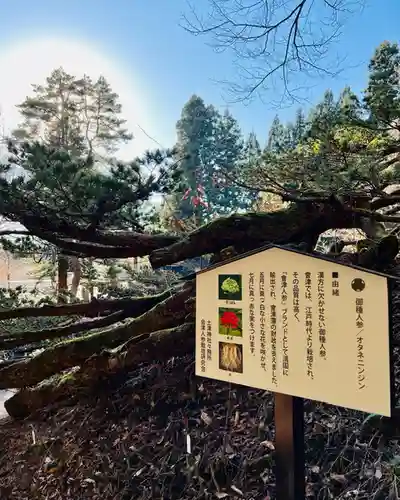 土津神社｜こどもと出世の神さまの歴史