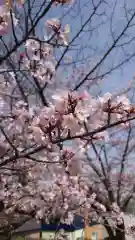 相馬神社(北海道)