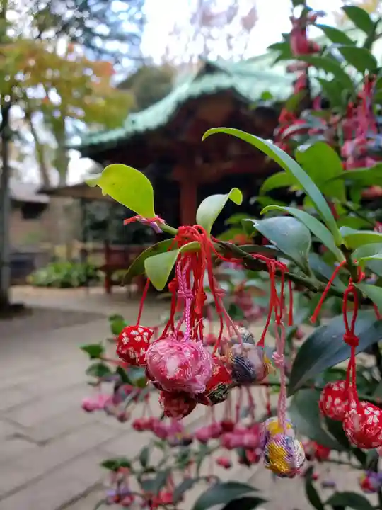 赤坂氷川神社(東京都)