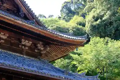 長谷寺の本殿・本堂