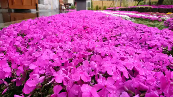 寿量山 速成寺の庭園