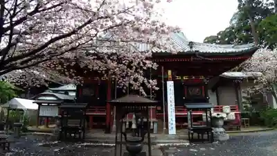 楽法寺(雨引観音)の本殿・本堂