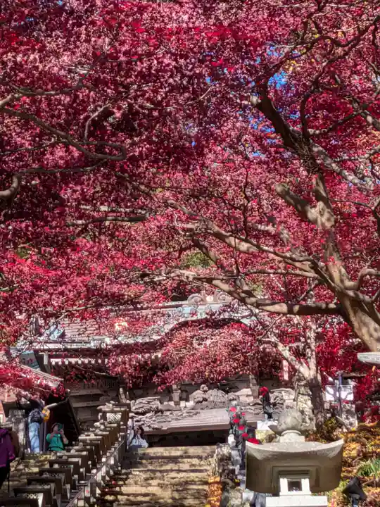 大山寺(神奈川県)